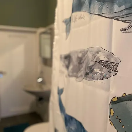 Mit Stuck In -living Liebig54 Apartment *