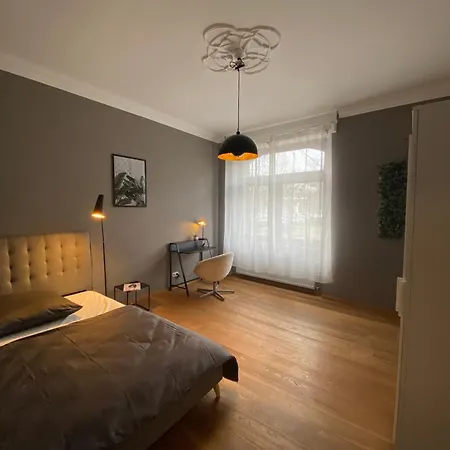 Apartment Mit Stuck In -living Liebig54