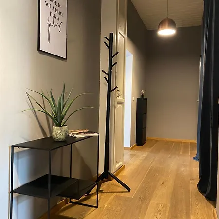 Apartment Mit Stuck In -living Liebig54